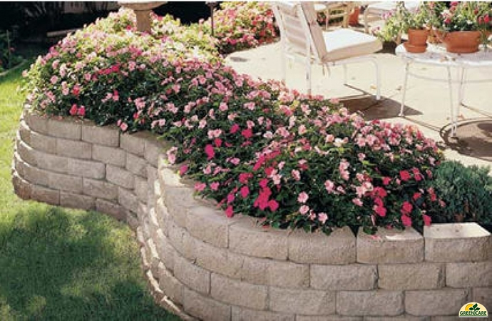 custom pools and spas by greencare.net